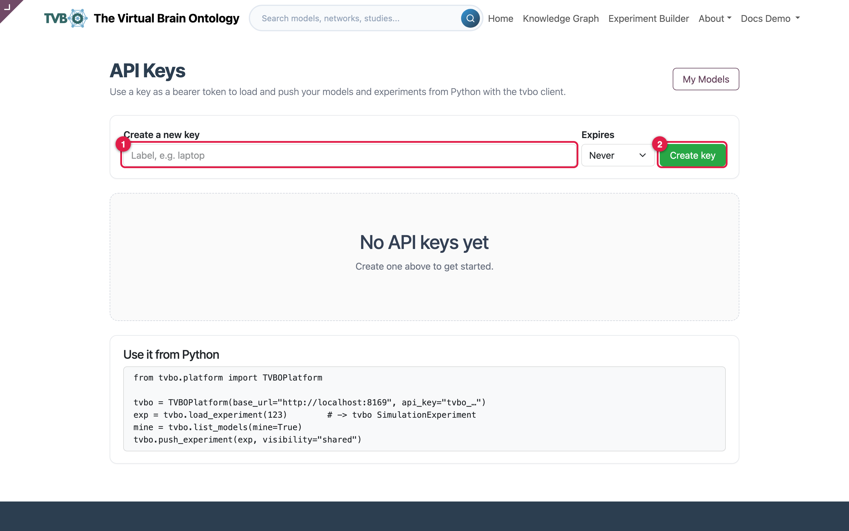 The API keys page, where a key is issued for scripted access.