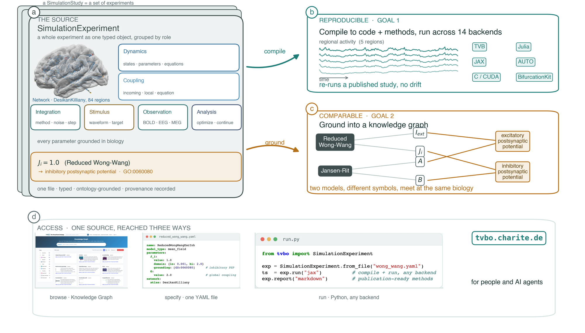 From one specification, TVB-O compiles code and a methods report across backends and grounds every entity in a knowledge graph.